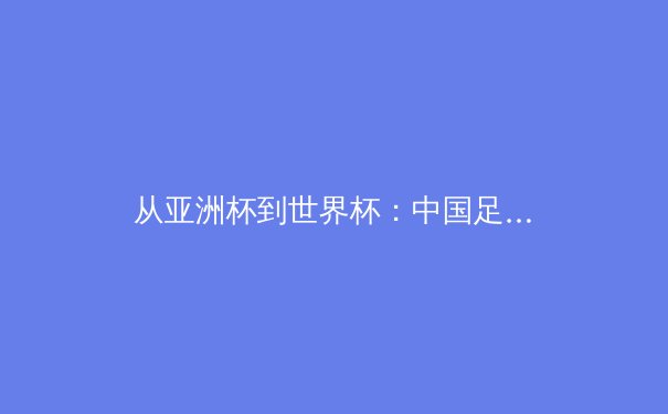 从亚洲杯到世界杯：中国足球的体系性困局与破局之道 - 4